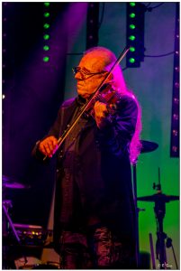 04.03.2023 - Hans, die Geige