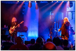 04.03.2023 - Hans, die Geige